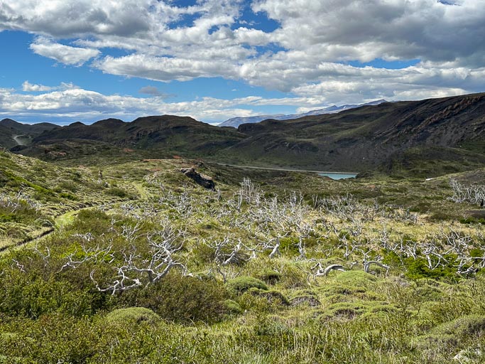 Torres del Paine