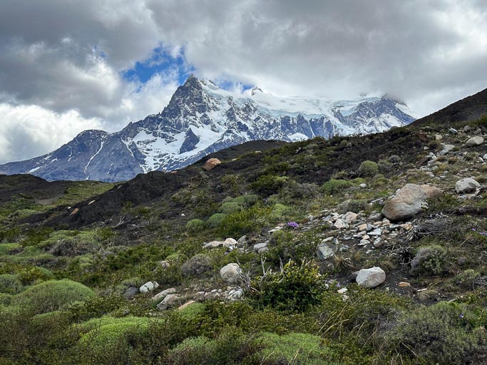 IMG_7882.jpg IMG_7882.jpg