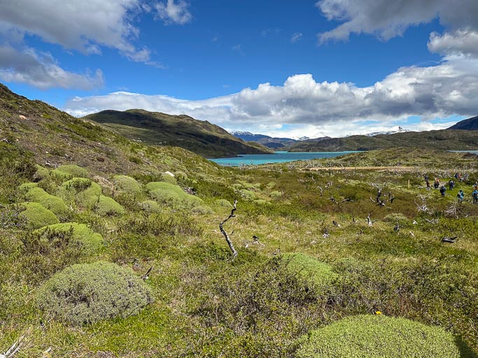 Torres del Paine