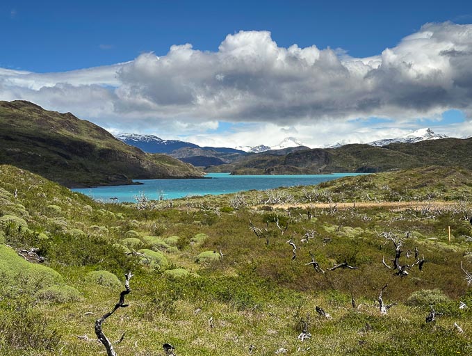 IMG_7887.jpg IMG_7887.jpg