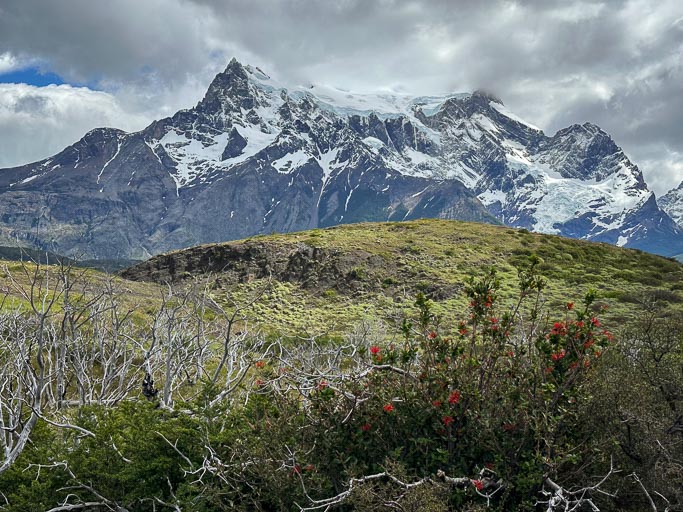 IMG_7901.jpg IMG_7901.jpg