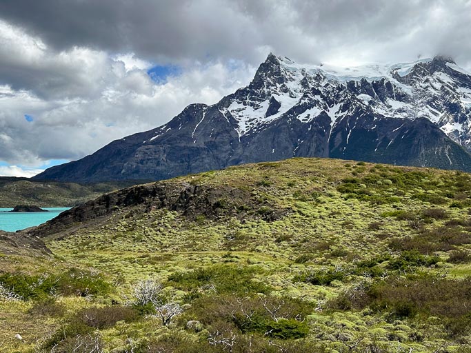 IMG_7905.jpg IMG_7905.jpg