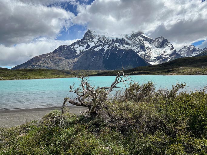 IMG_7913.jpg IMG_7913.jpg