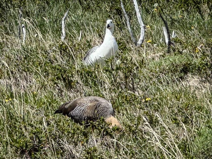 IMG_7917.jpg IMG_7917.jpg