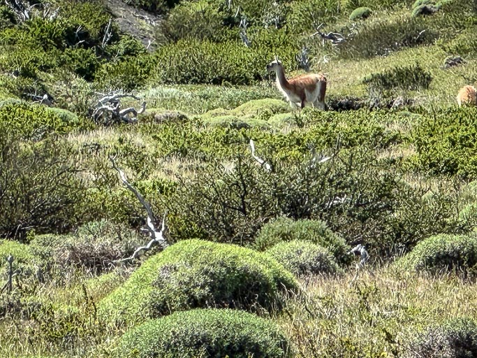 IMG_7924.jpg IMG_7924.jpg