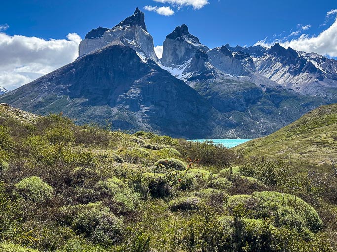 IMG_7926.jpg IMG_7926.jpg