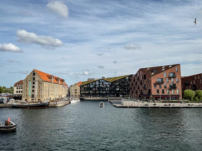 IMG_3155.jpg IMG_3155.jpg