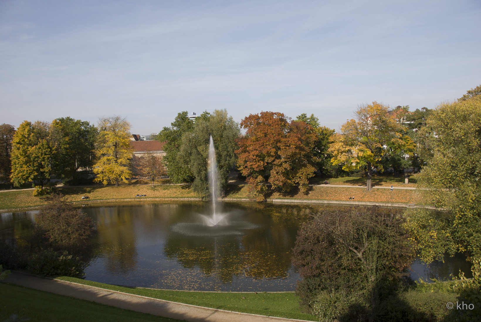 DSC_5529.jpg