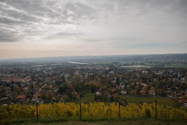 DSC_5651.jpg DSC_5651.jpg