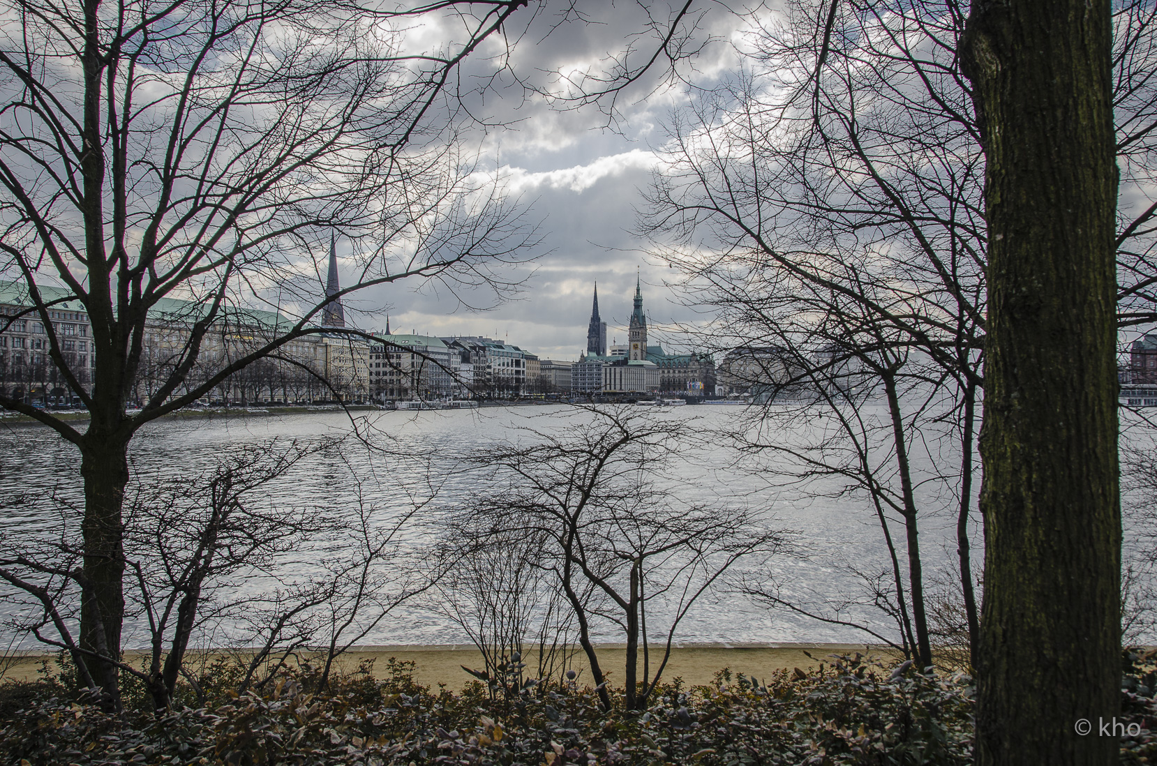 _D703812.jpg