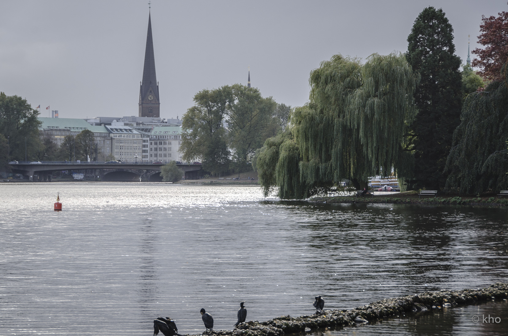 _D709706.jpg
