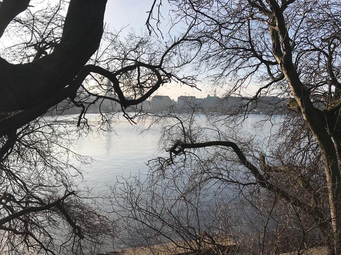 IMG_1043.jpg IMG_1043.jpg