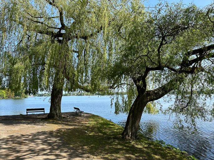 IMG_2728.jpg IMG_2728.jpg