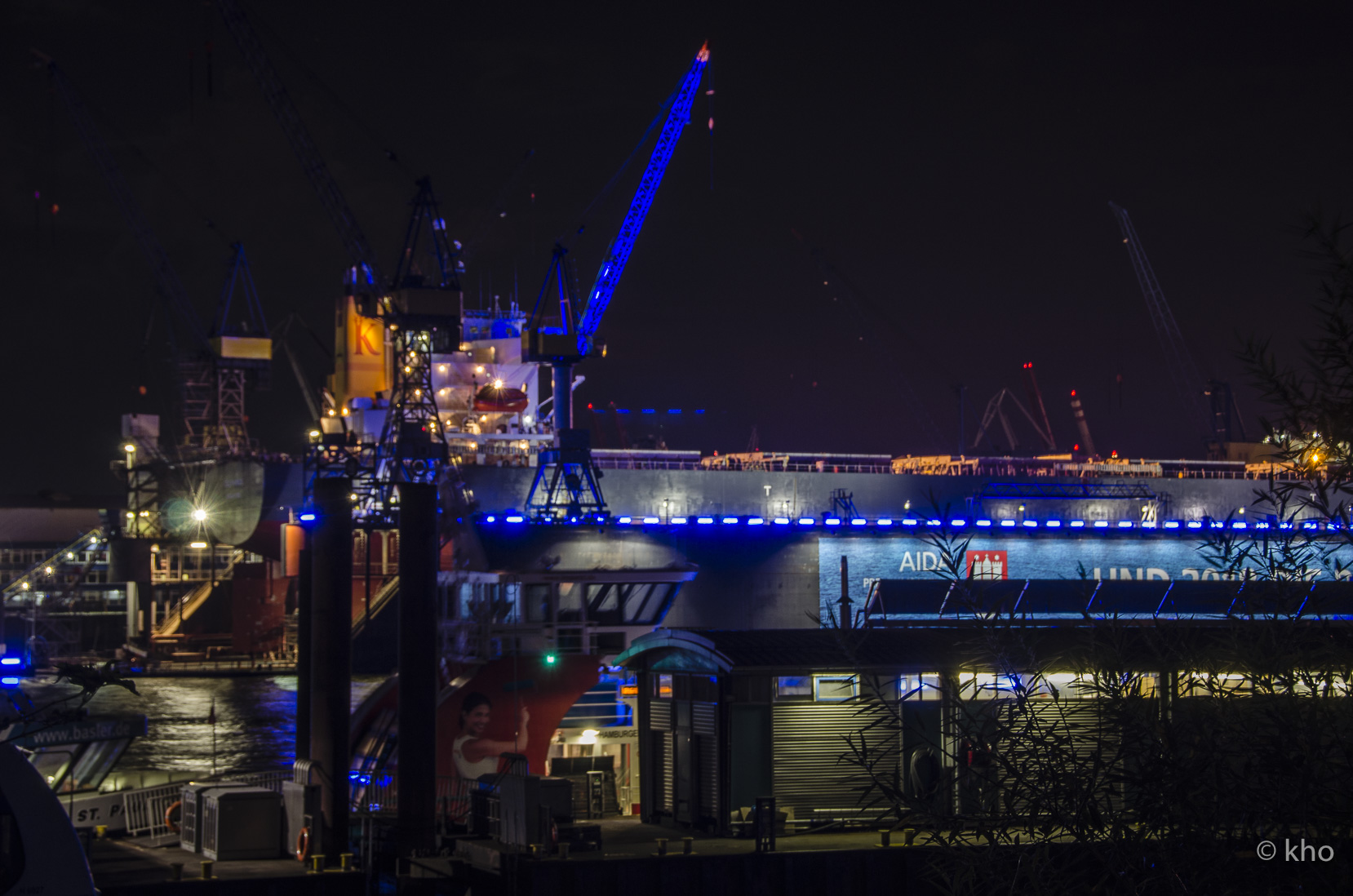 _D709071.jpg