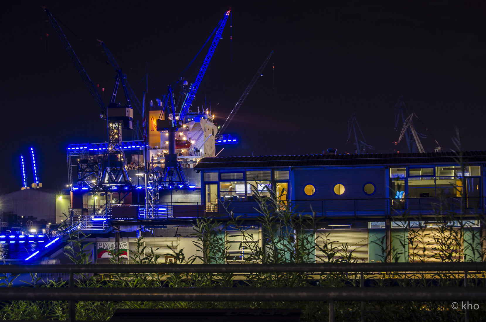 _D709169.jpg