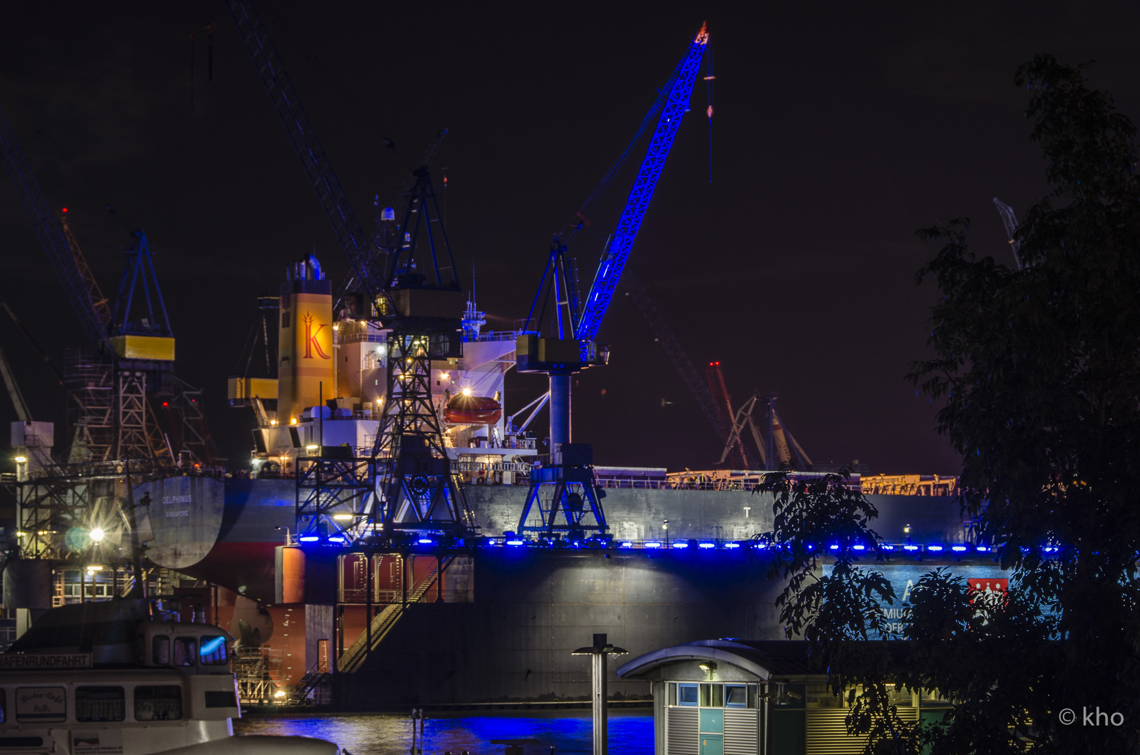 _D709176.jpg