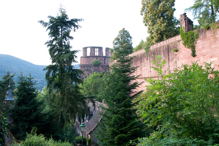 0643-20090625.jpg 0643-20090625.jpg