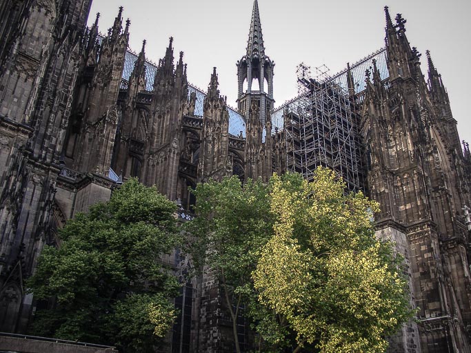 CIMG6532.jpg CIMG6532.jpg