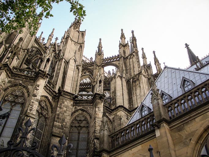 CIMG6540.jpg CIMG6540.jpg