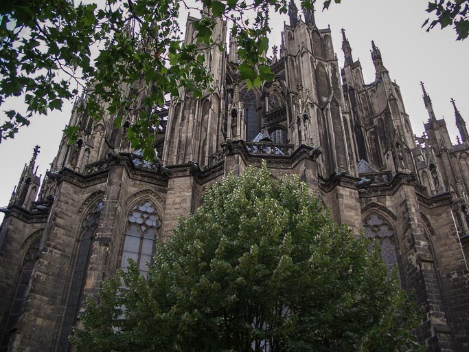 CIMG6541.jpg CIMG6541.jpg