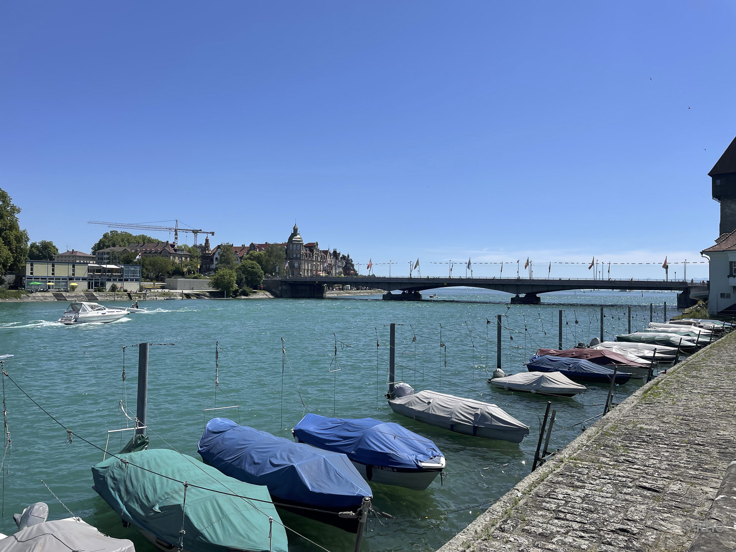 IMG_7698.jpg