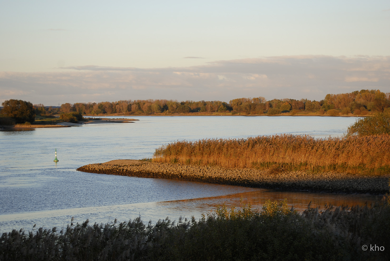 DSC_0696.jpg