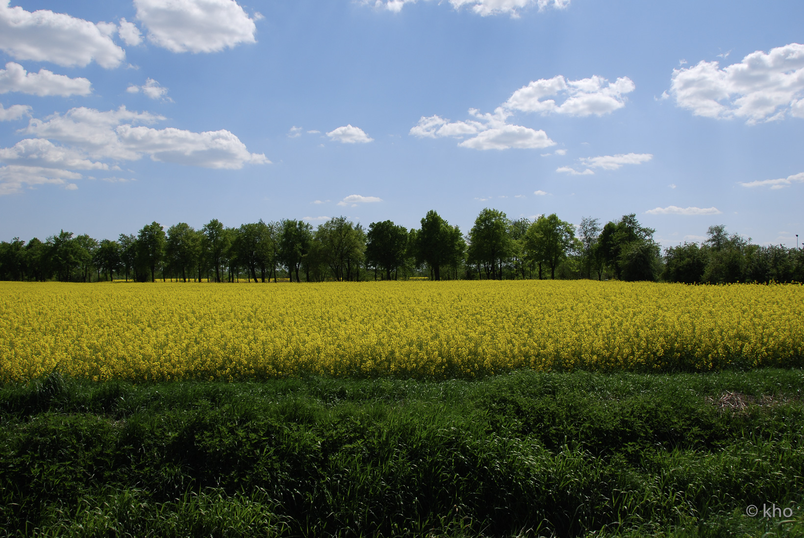 DSC_3676.jpg