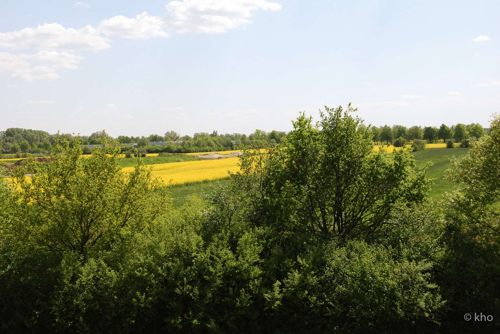 DSC_3684.jpg