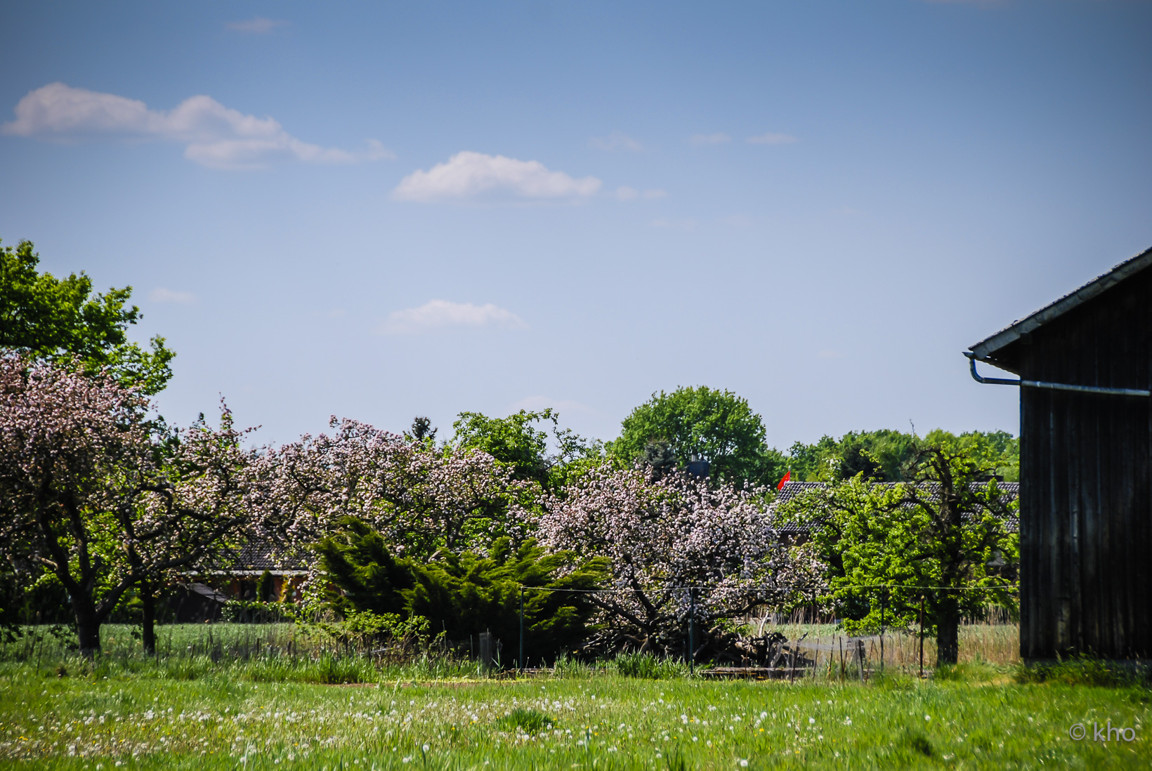 DSC_3690.jpg