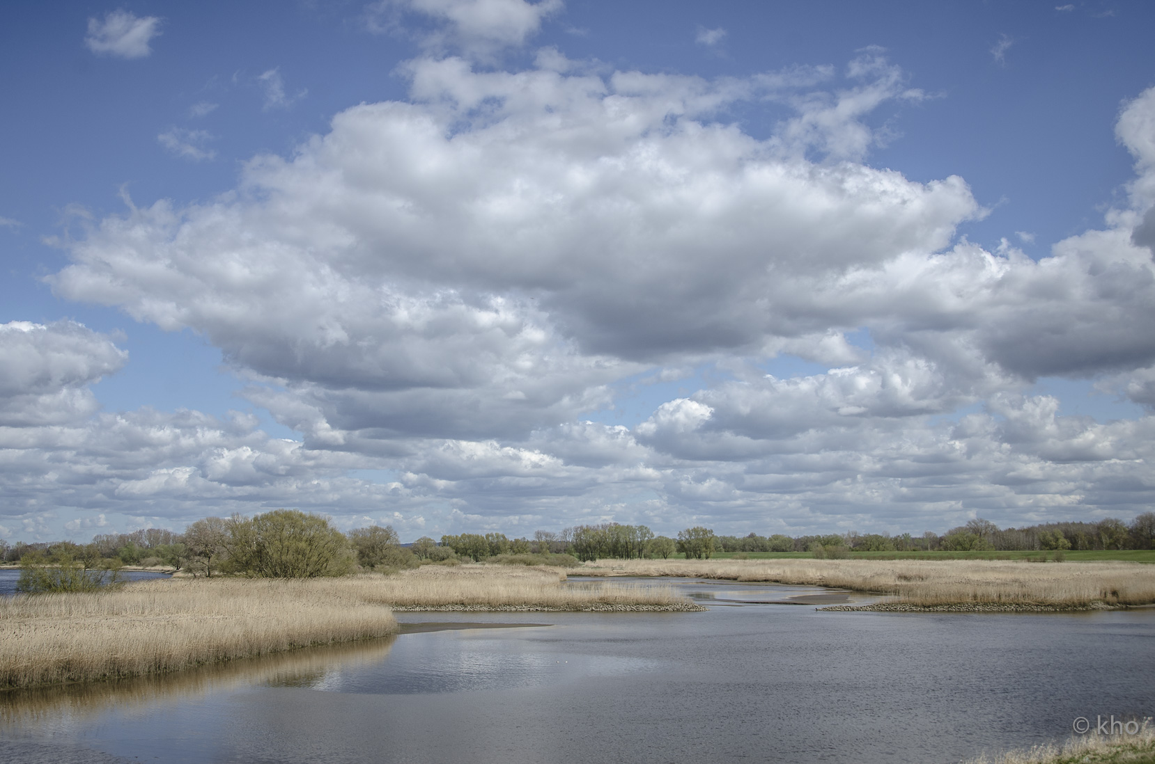 _D701355.jpg