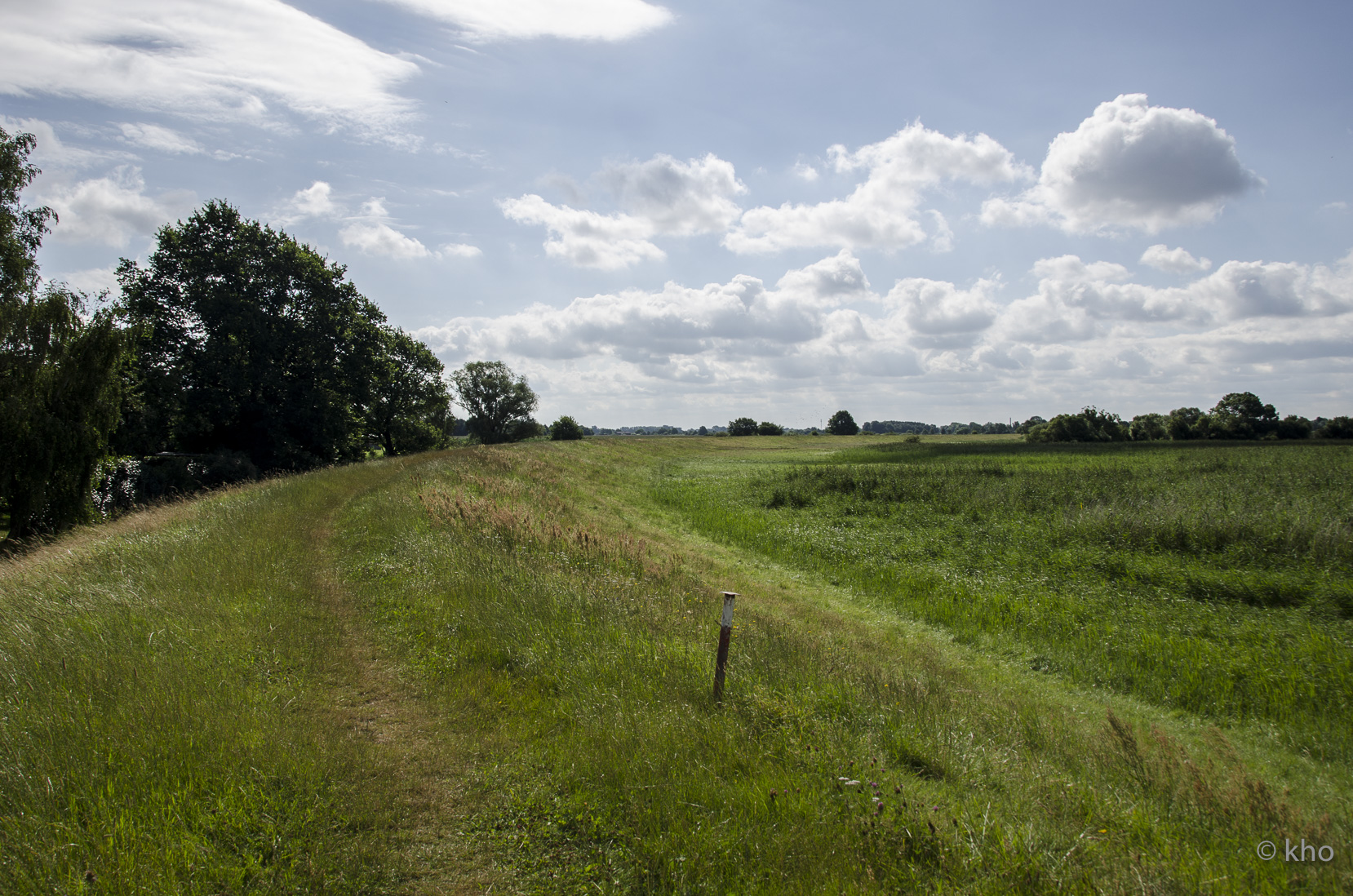 _D705141.jpg