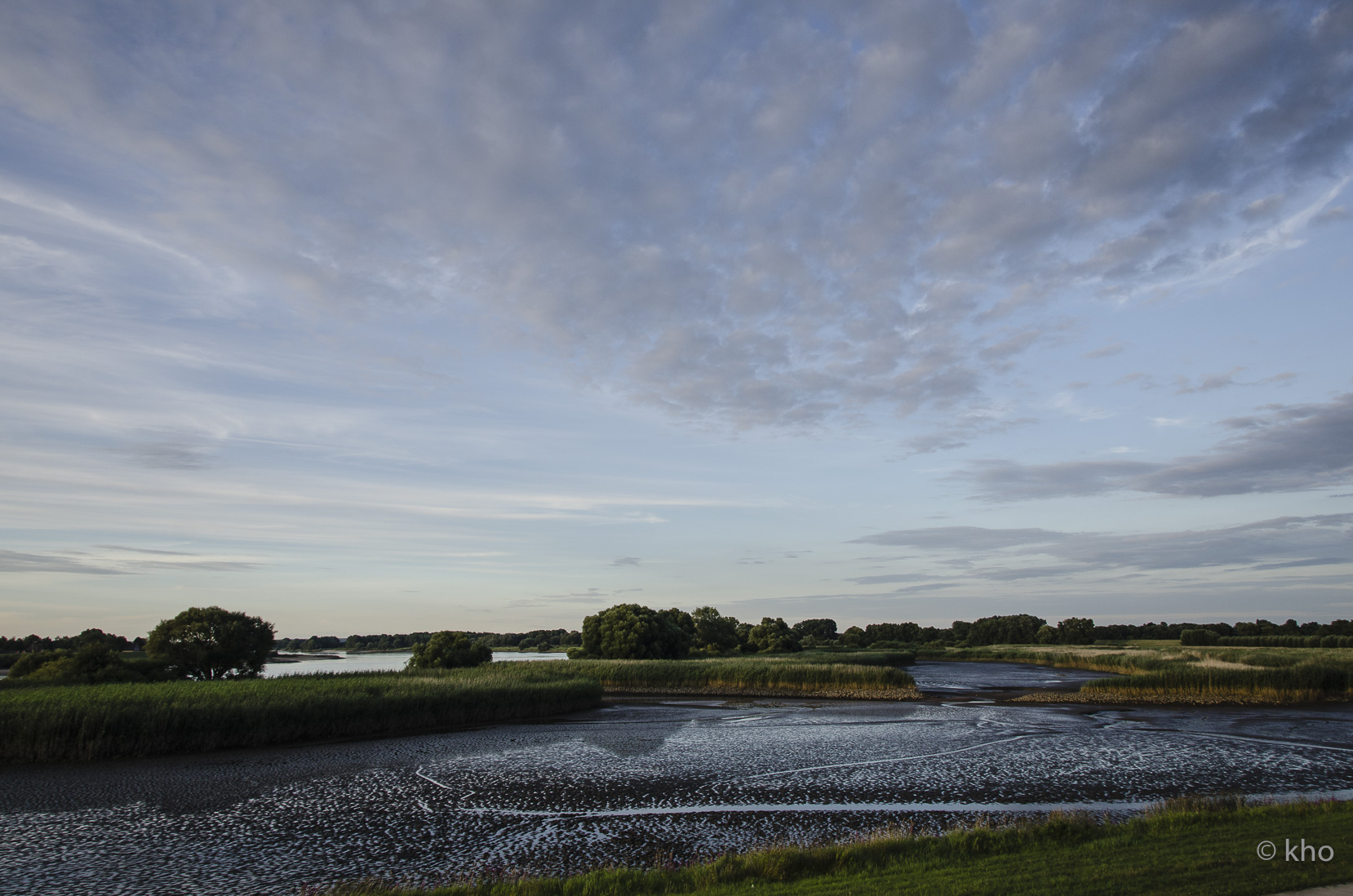 _D705170.jpg