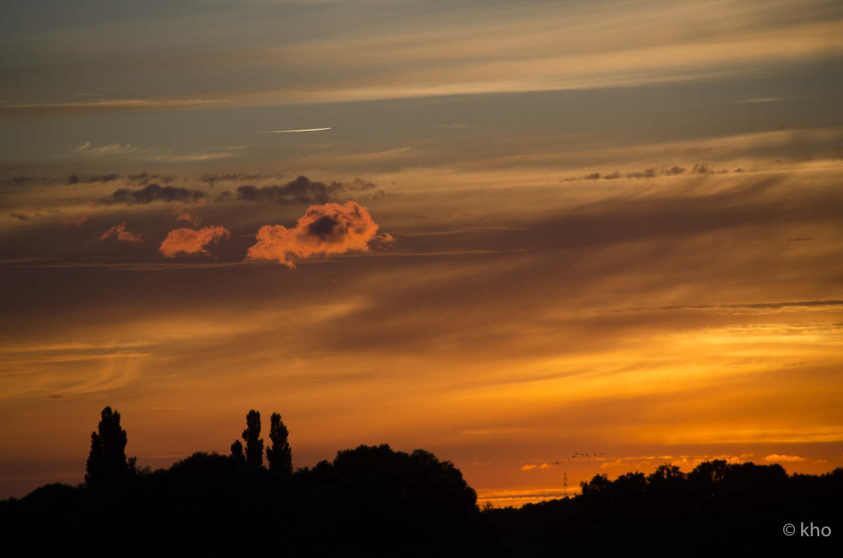 _D705238.jpg
