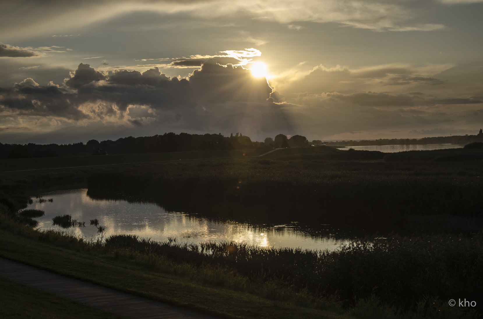 _D708382.jpg