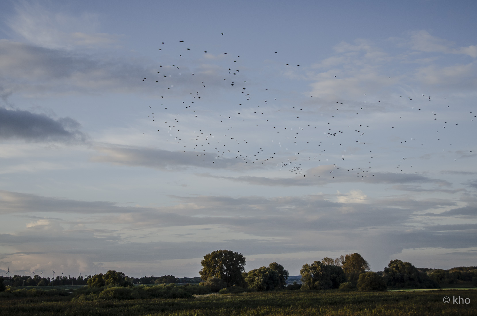 _D708386.jpg