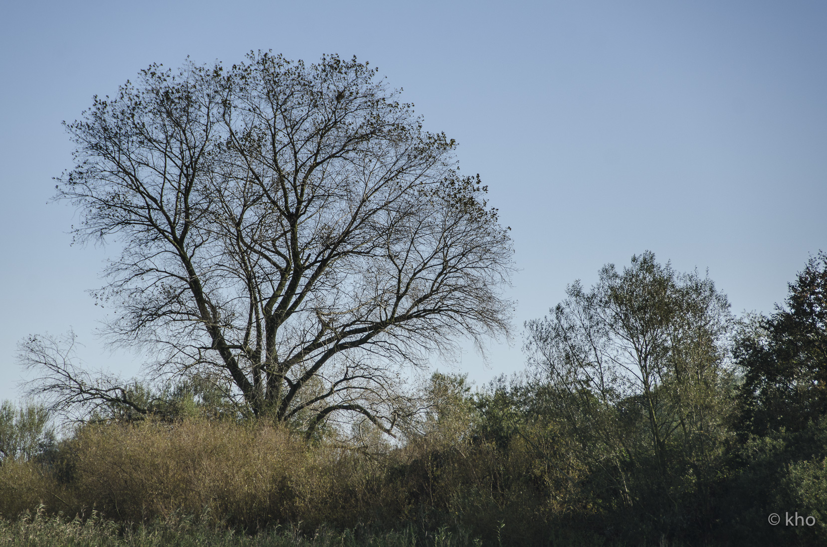_D709489.jpg