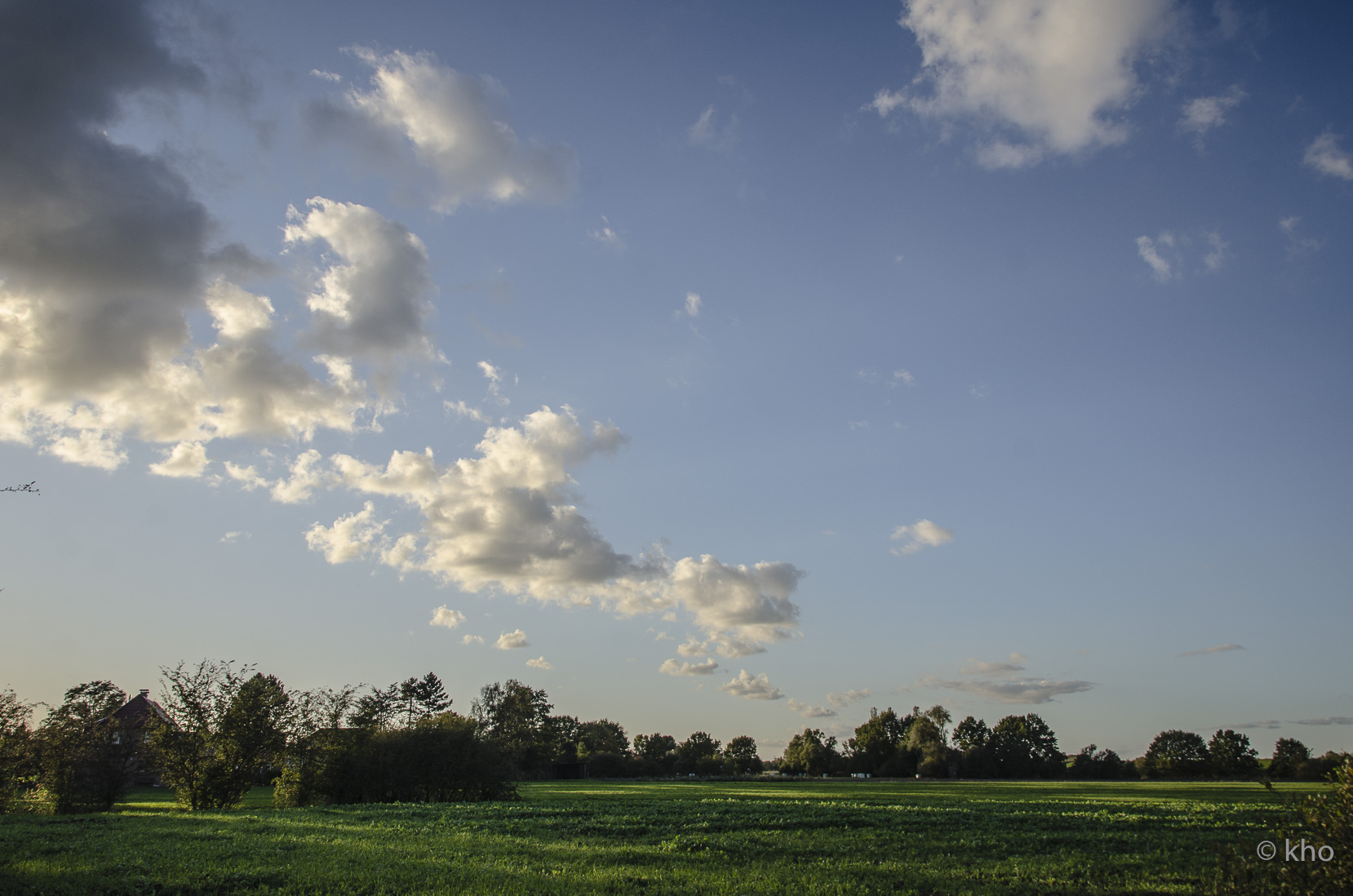 _D709556.jpg