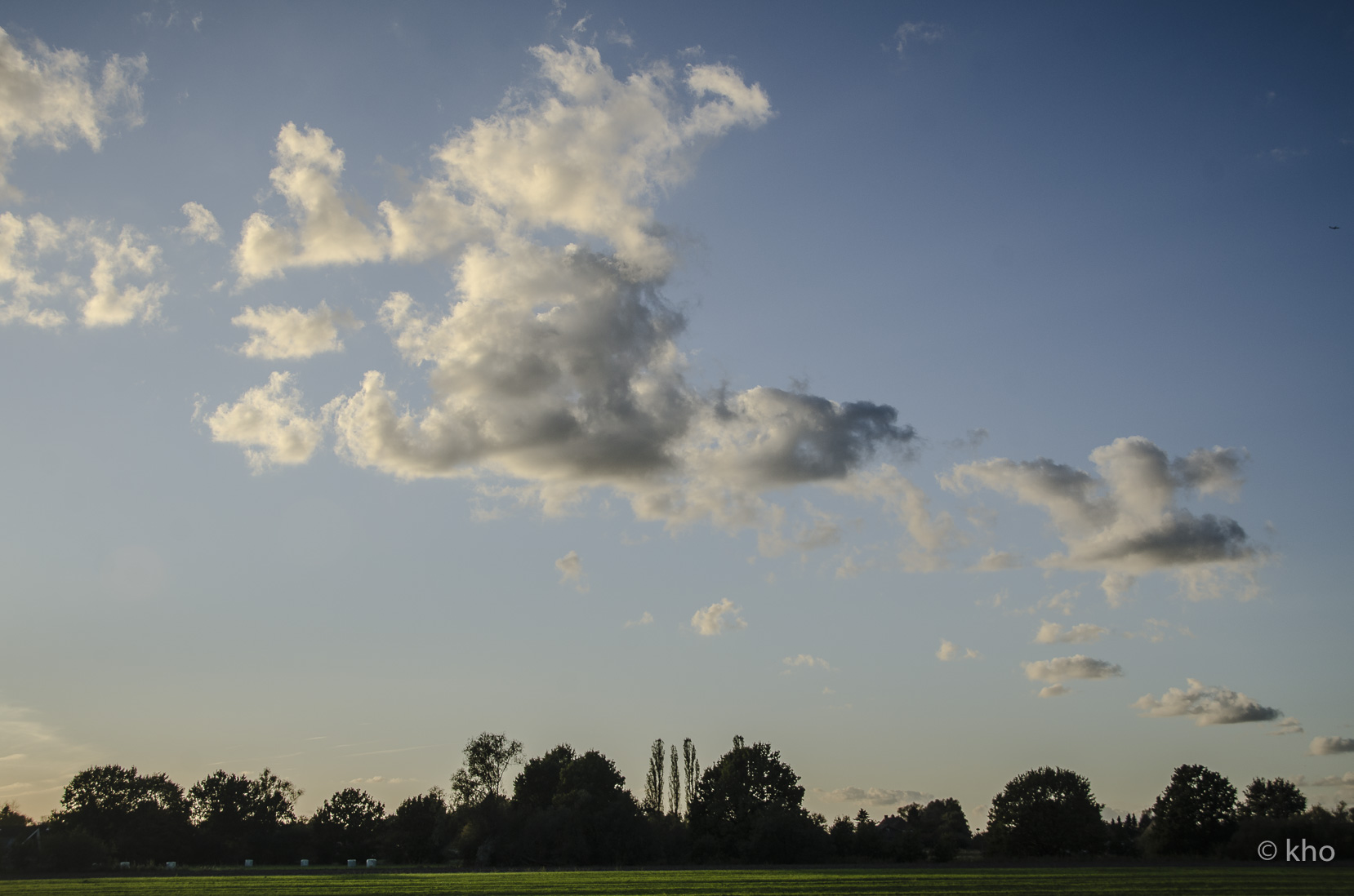 _D709558.jpg