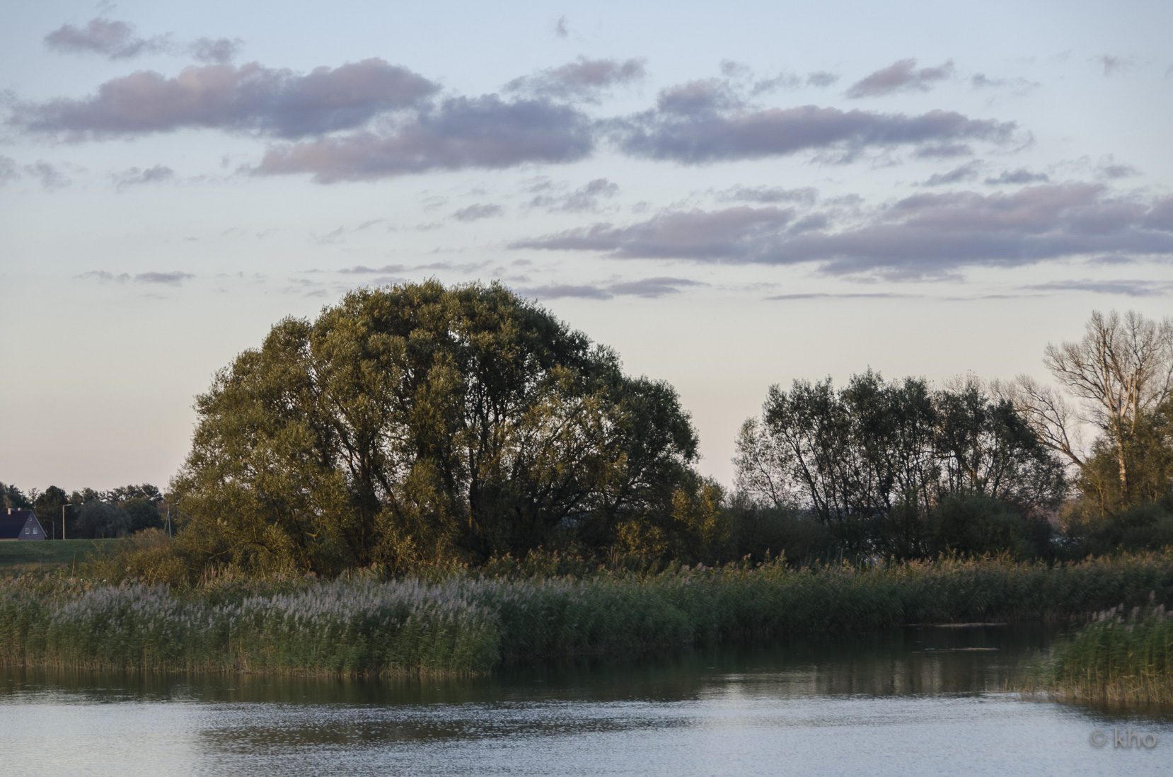 _D709573.jpg