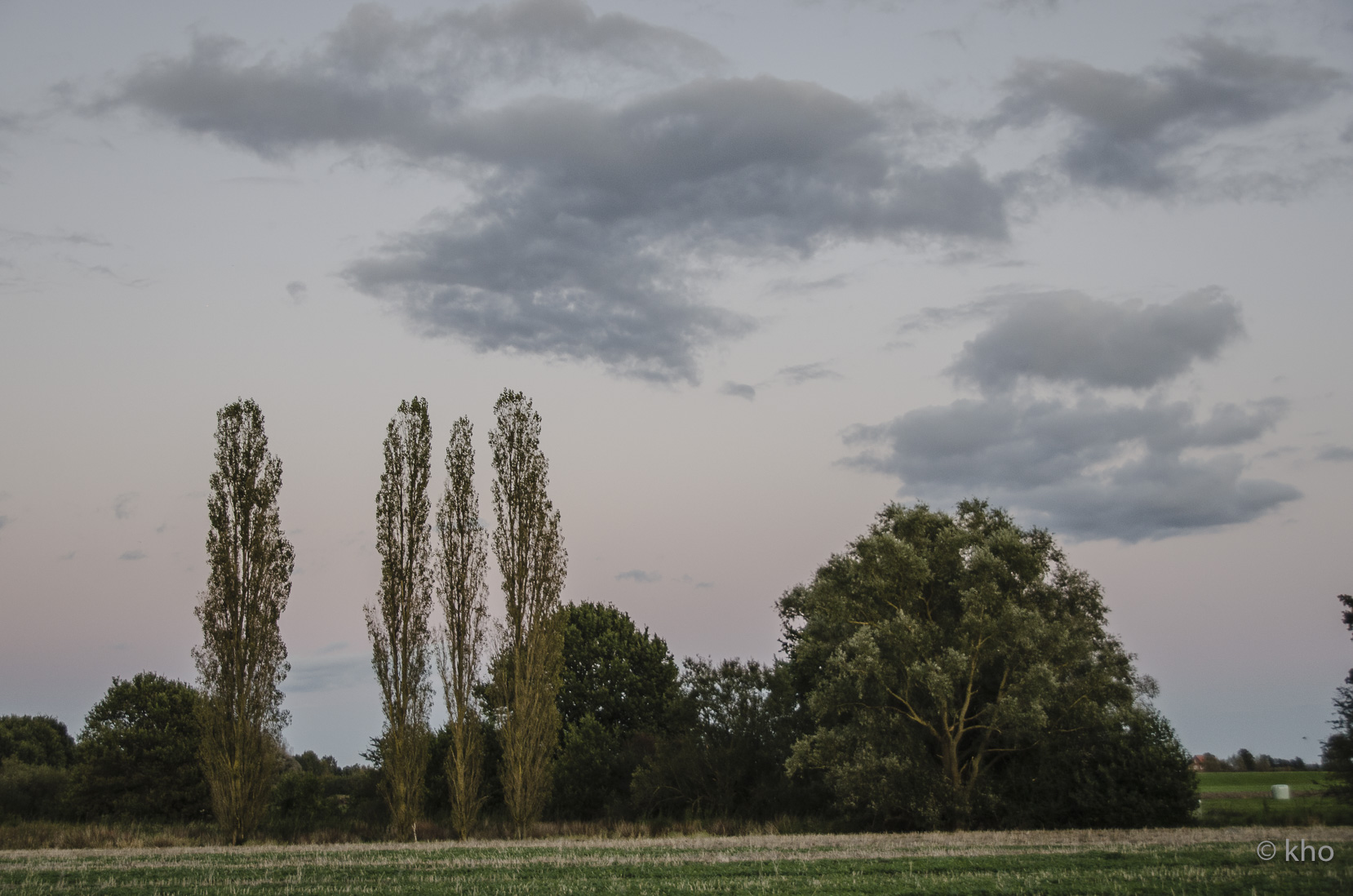_D709580.jpg