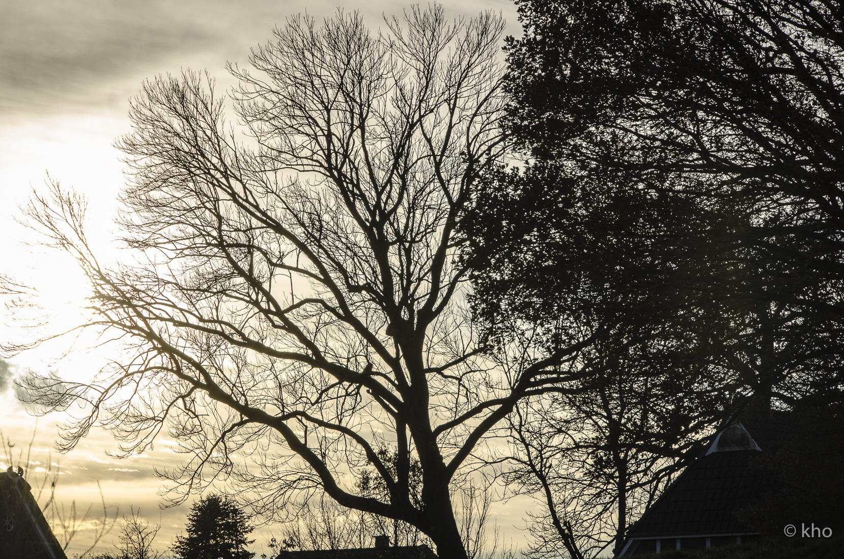 _D709754.jpg