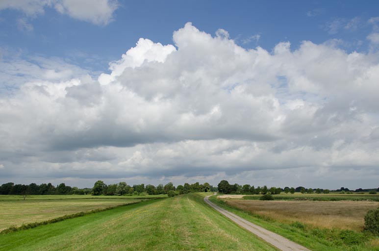 Lassrönne