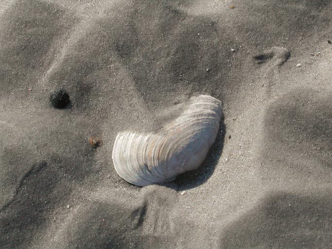 St. Peter Ording