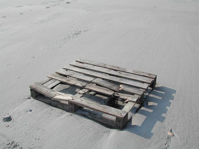 St. Peter Ording