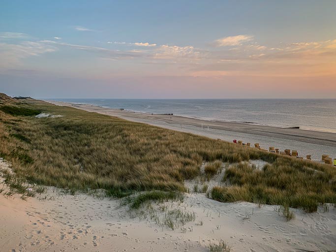 IMG_1782.jpg IMG_1782.jpg