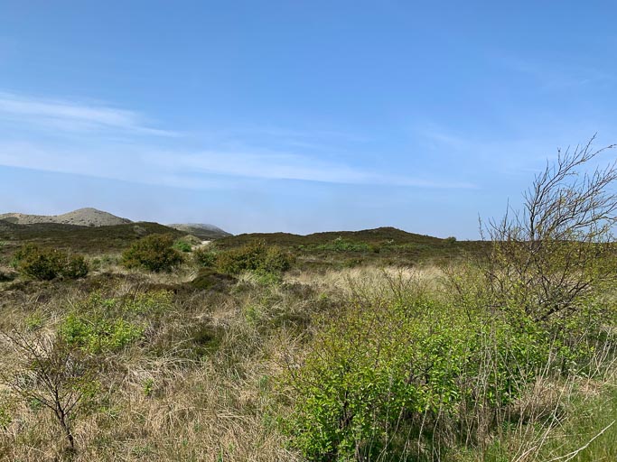 IMG_1846.jpg IMG_1846.jpg