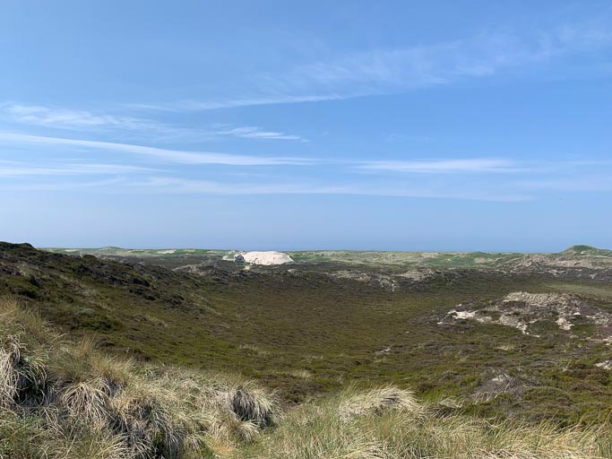 IMG_1860.jpg IMG_1860.jpg