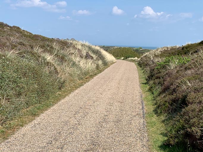 IMG_1867.jpg IMG_1867.jpg