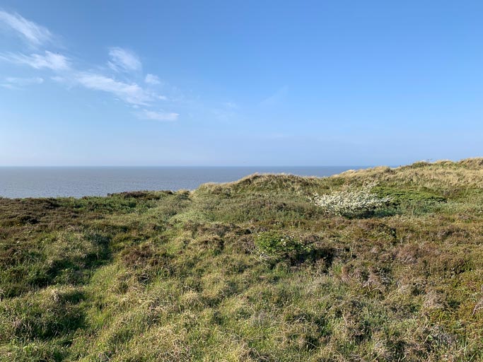 IMG_1886.jpg IMG_1886.jpg