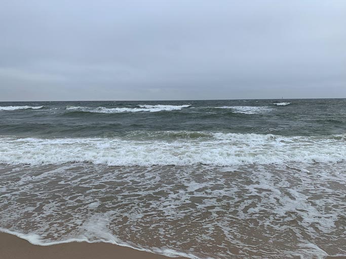 IMG_1924.jpg IMG_1924.jpg